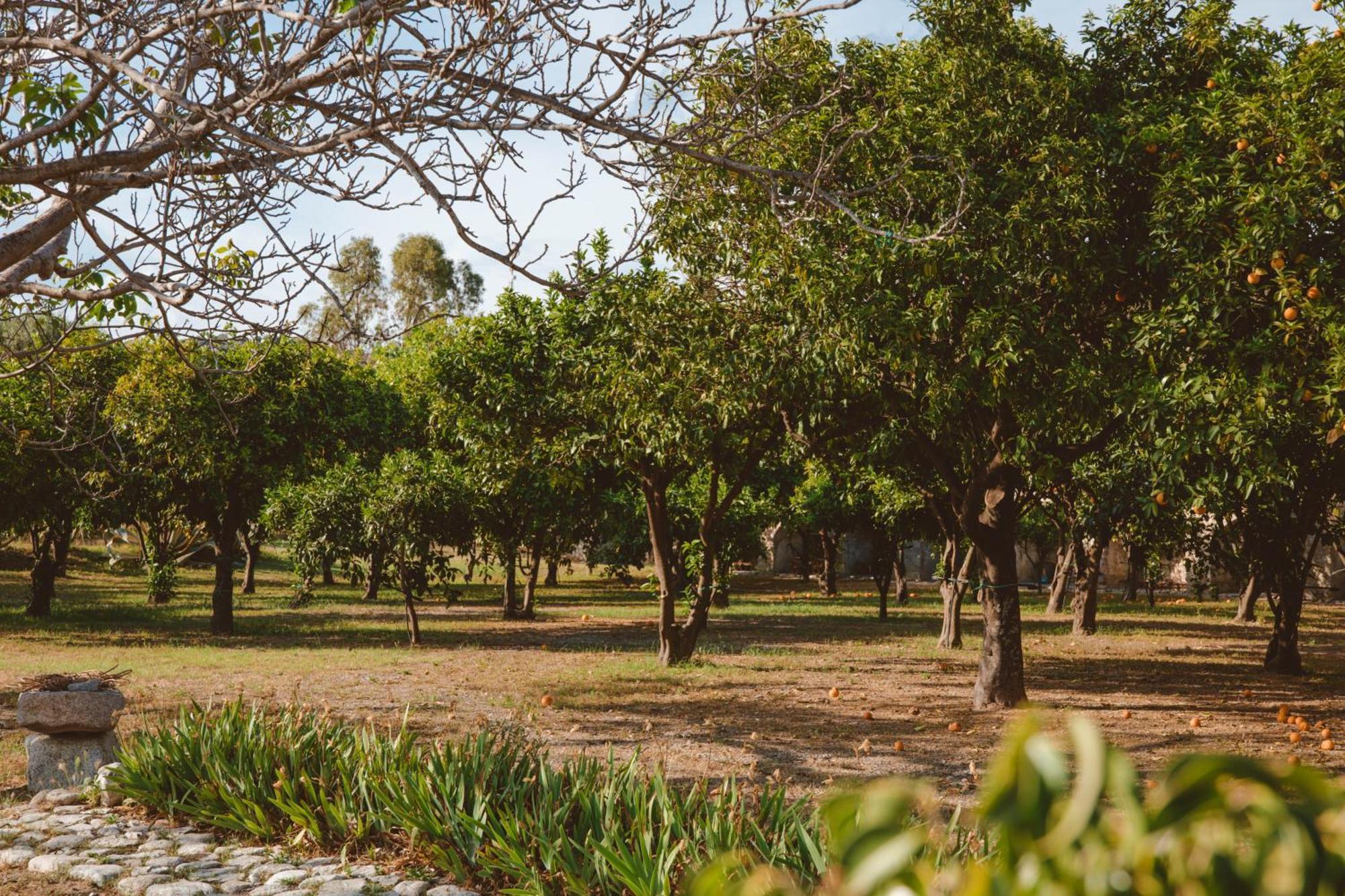 Agriturismo Villa Vittoria Guardavalle المظهر الخارجي الصورة
