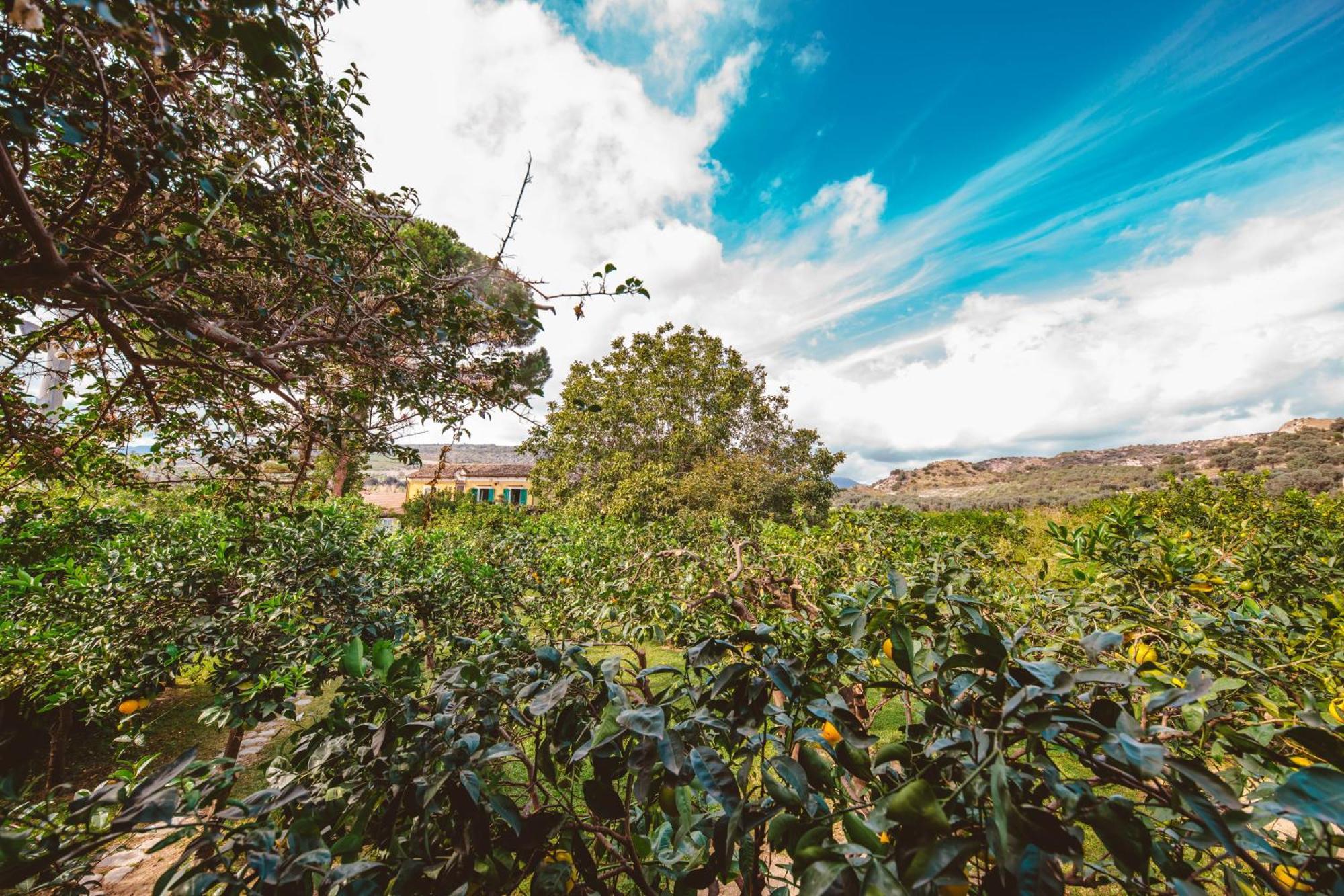 Agriturismo Villa Vittoria Guardavalle المظهر الخارجي الصورة